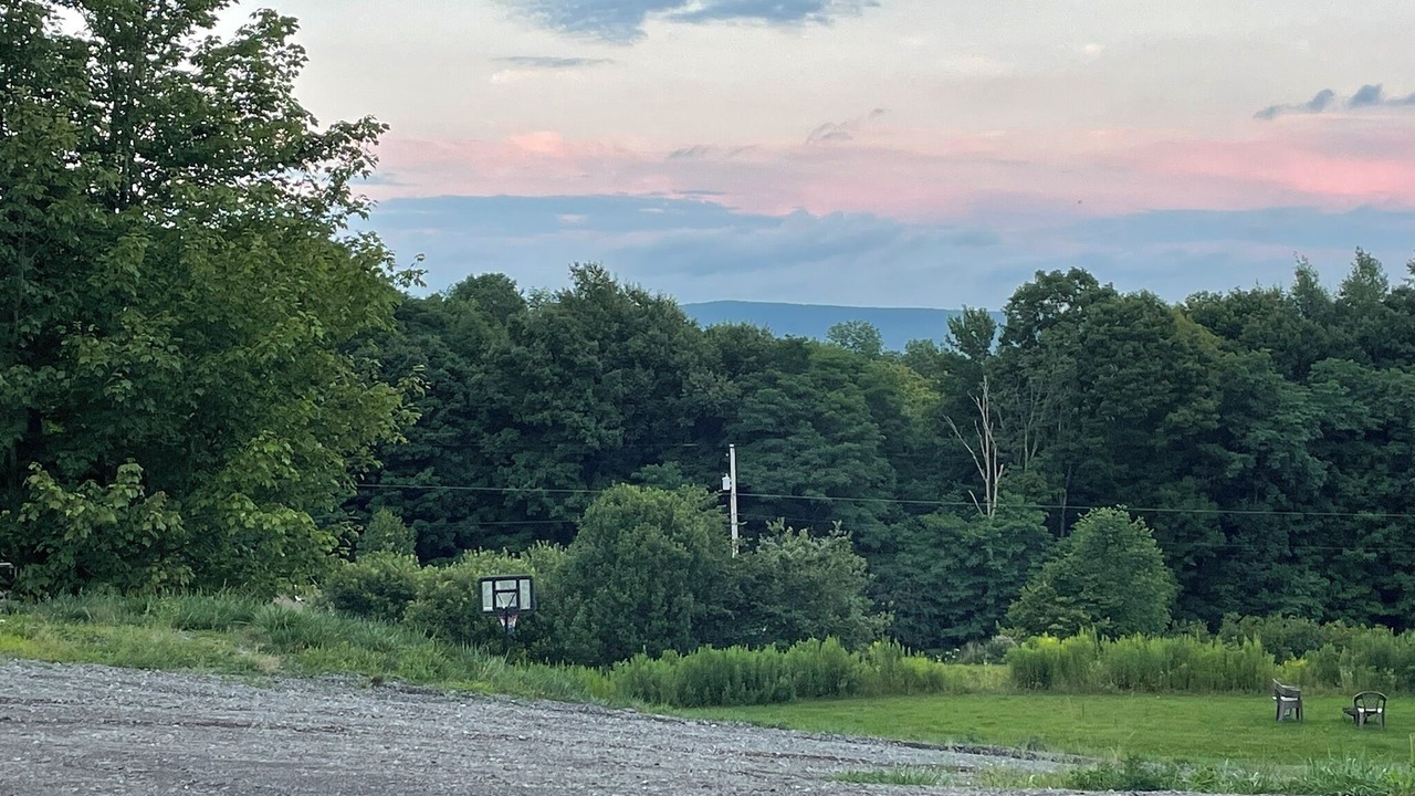 Photo of Others in Milford