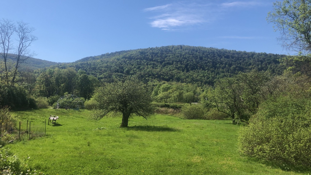 Photo of Outdoor in Downsville