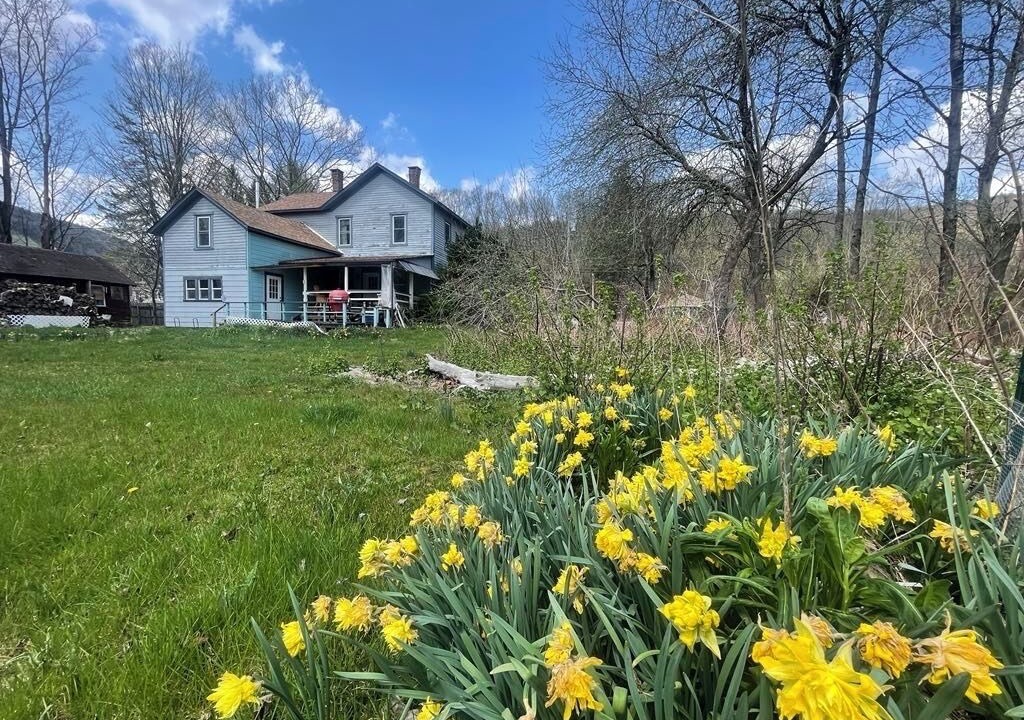 Photo of Outdoor in Downsville