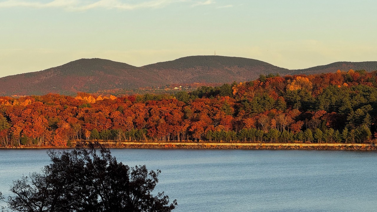 Photo of Others in Laconia