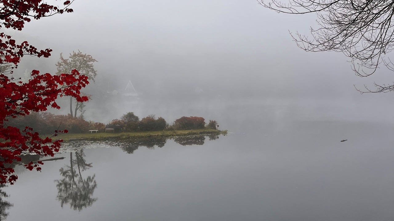Photo of Others in Susquehanna