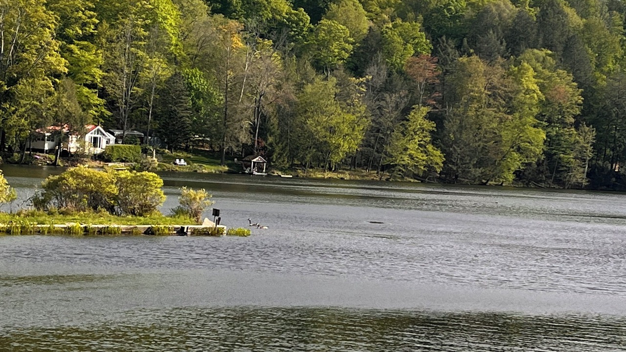 Photo of Others in Susquehanna