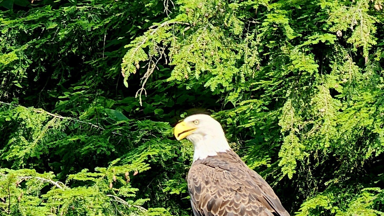 Photo of Outdoor in Little Falls