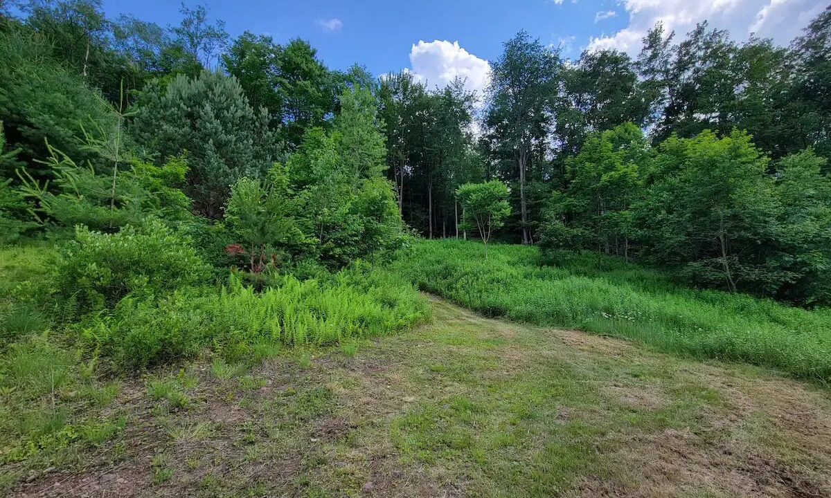 Photo of Outdoor in Swanton