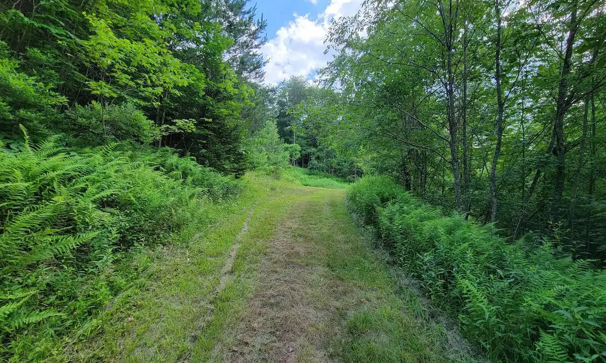 Photo of Outdoor in Swanton