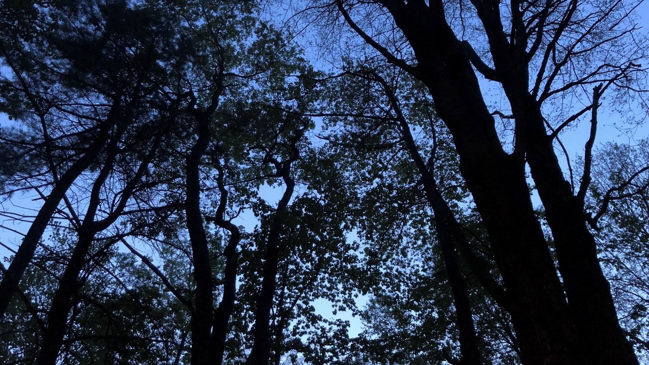 Photo of Outdoor in Cooperstown