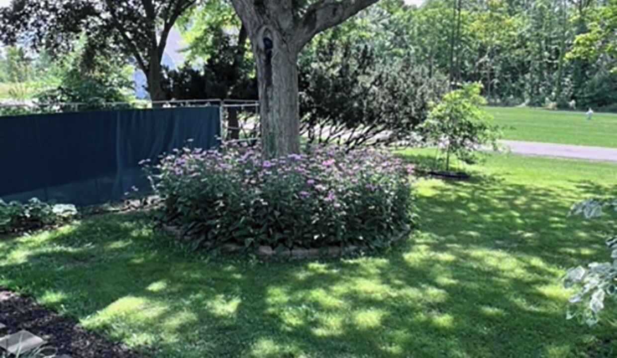 Photo of Outdoor in Youngstown