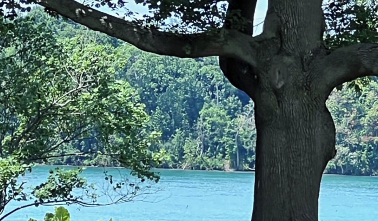 Photo of Others in Youngstown