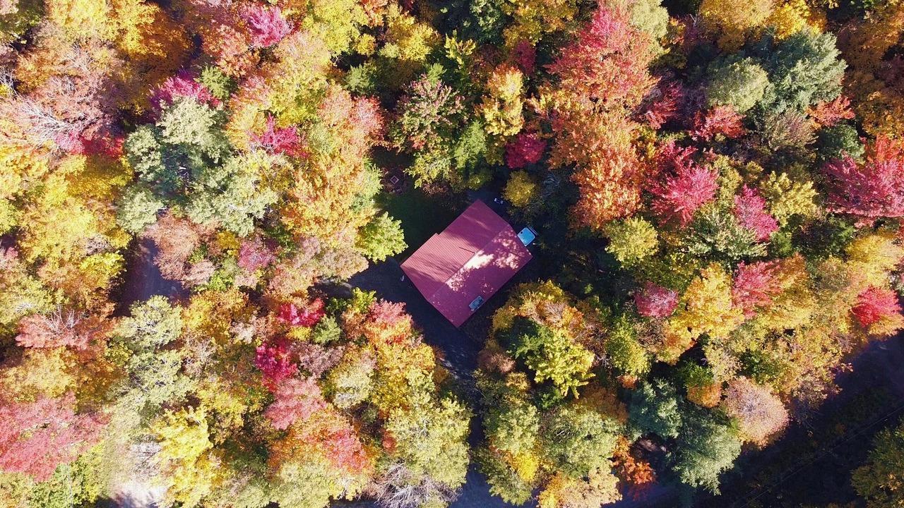 Photo of Outdoor in Jamaica