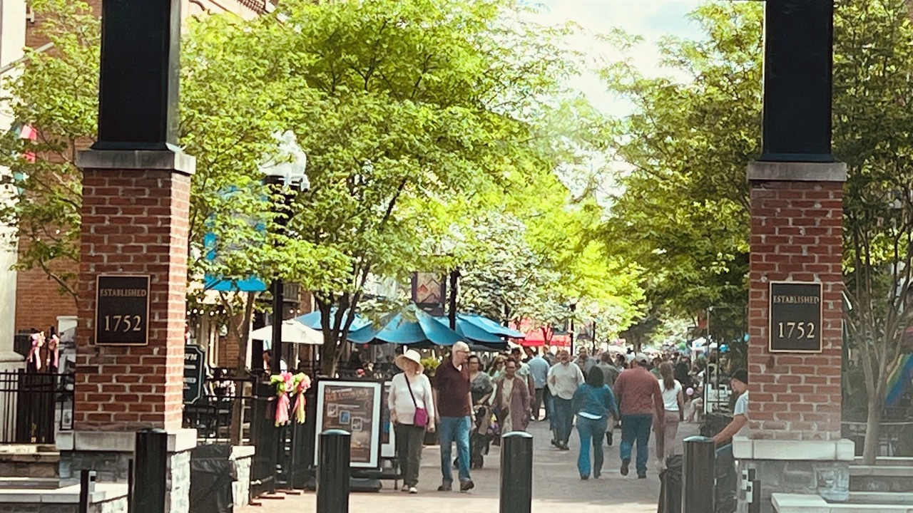 Photo of Others in Winchester