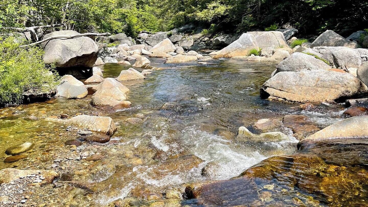 Photo of Others in North Woodstock