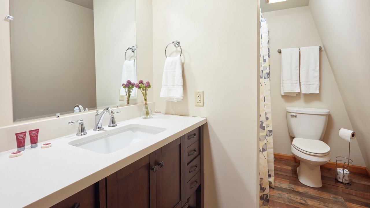 Photo of Bathroom in Hood