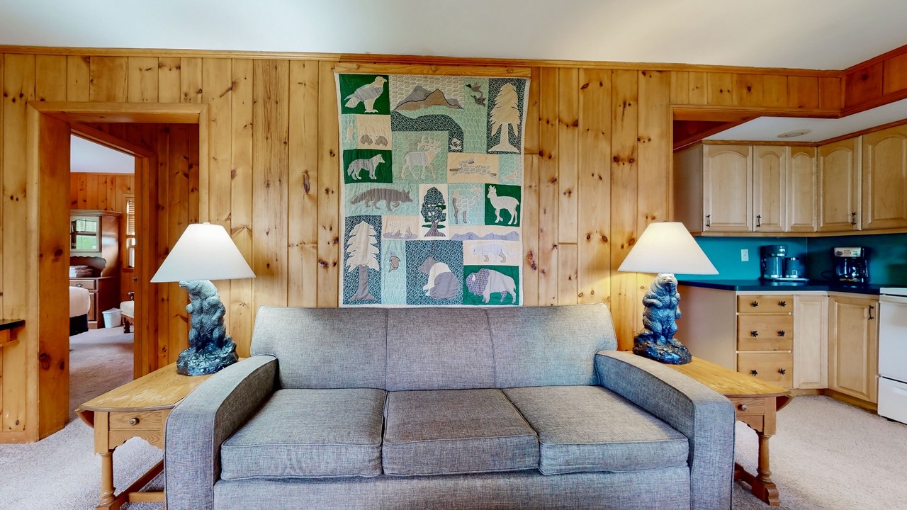Photo of Livingroom in Lake George