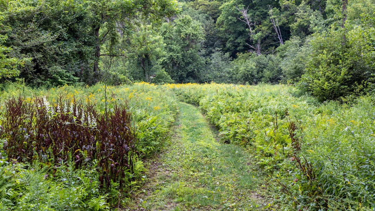 Photo of Outdoor in Johnson