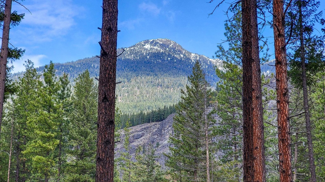 Photo of Outdoor in Mazama