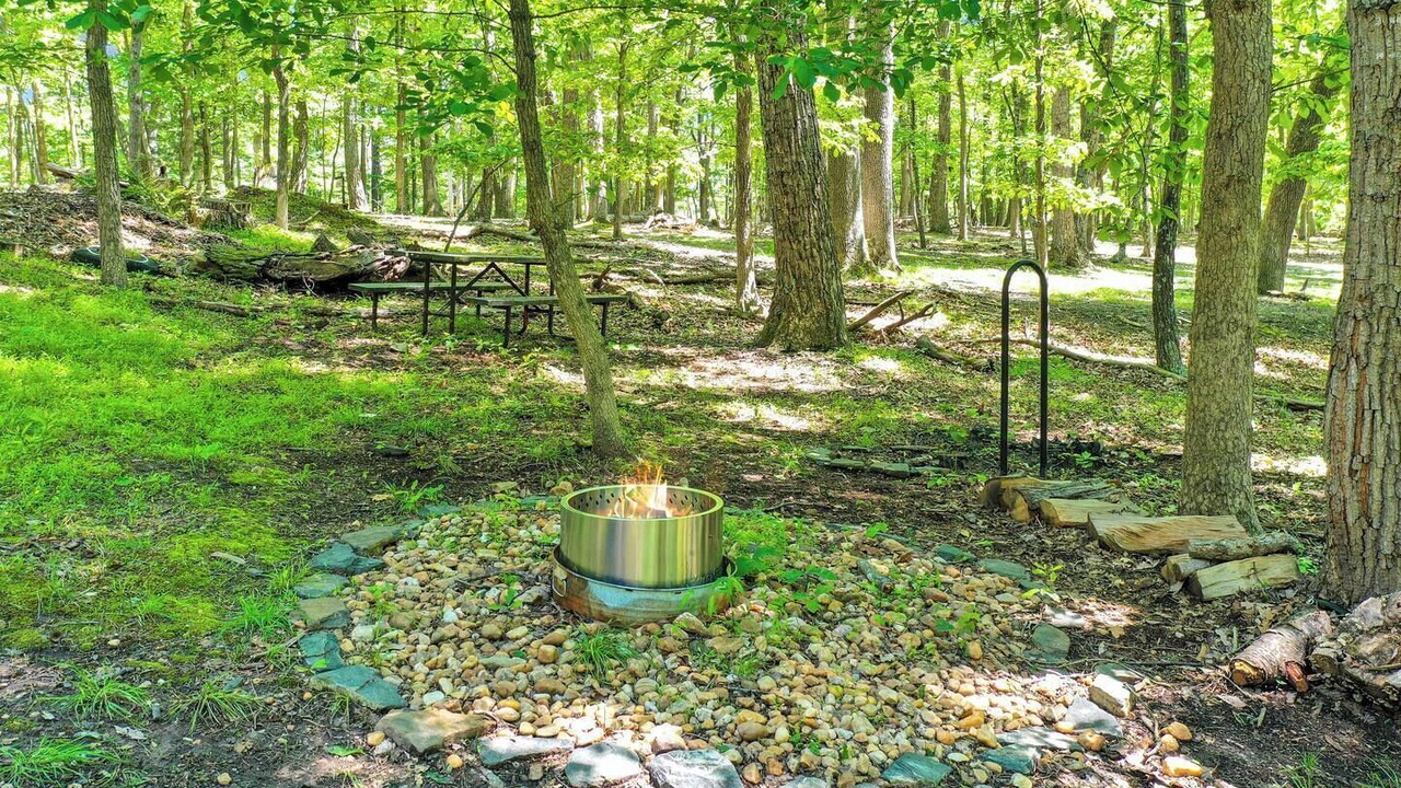 Photo of Outdoor in The Woods