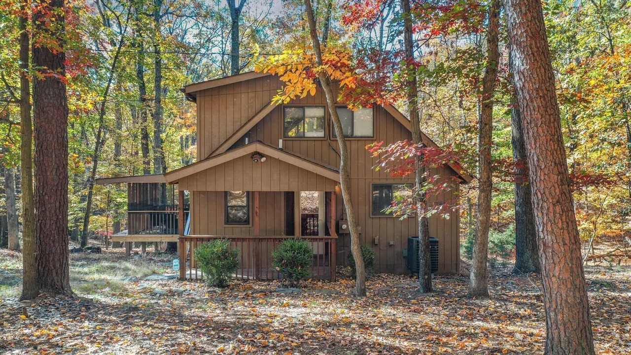 Photo of Outdoor in The Woods