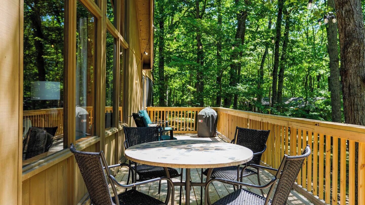 Photo of Outdoor in The Woods
