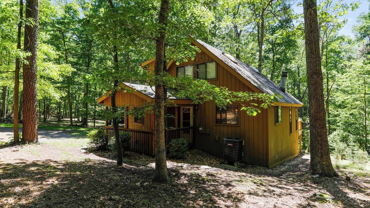Photo of Outdoor in The Woods