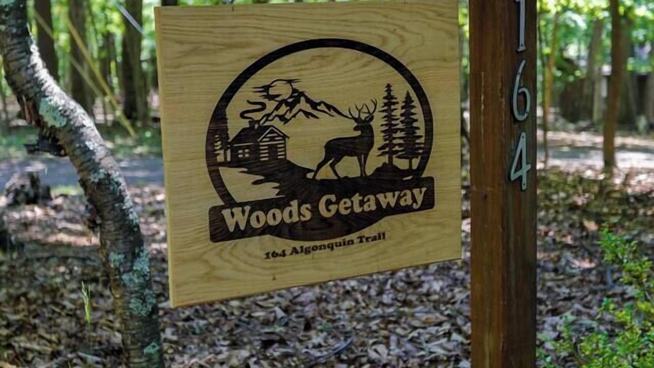 Photo of Others in The Woods