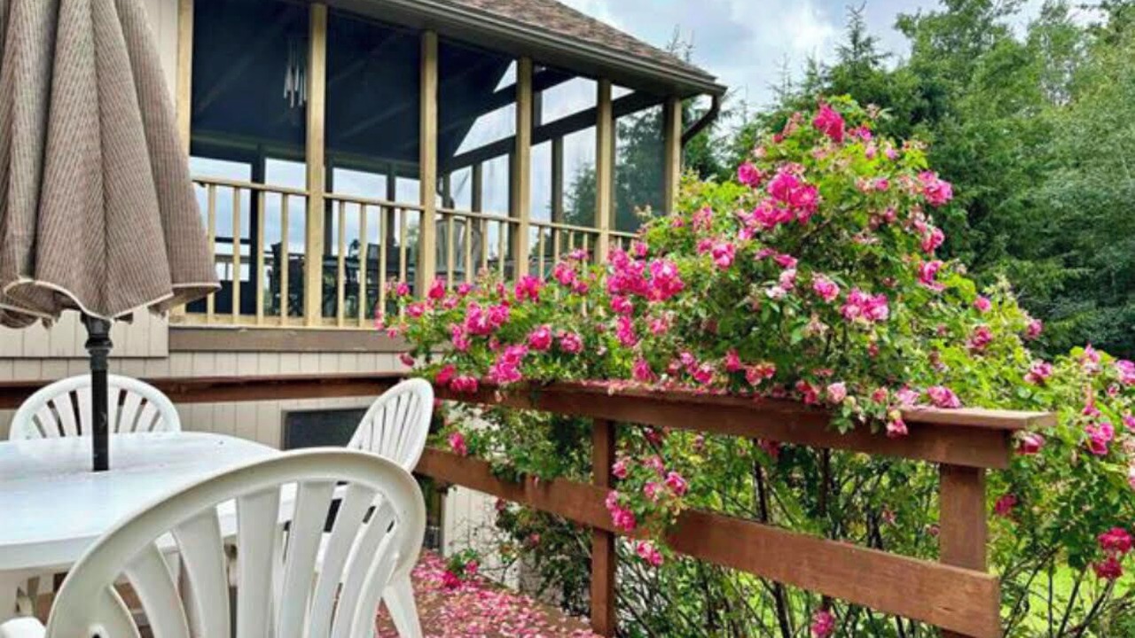 Photo of Outdoor in Sunapee