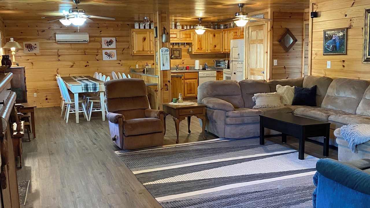 Photo of Livingroom in Dobson