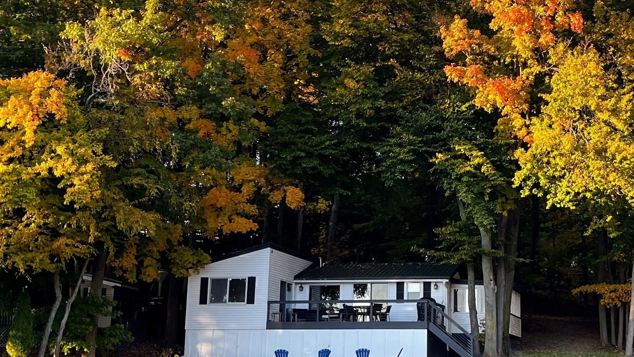 Photo of Outdoor in South Byron