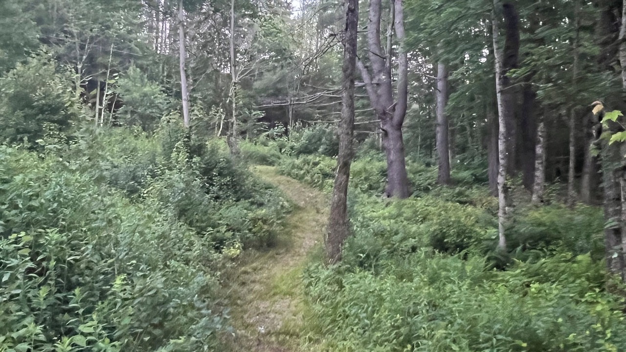 Photo of Outdoor in Milton