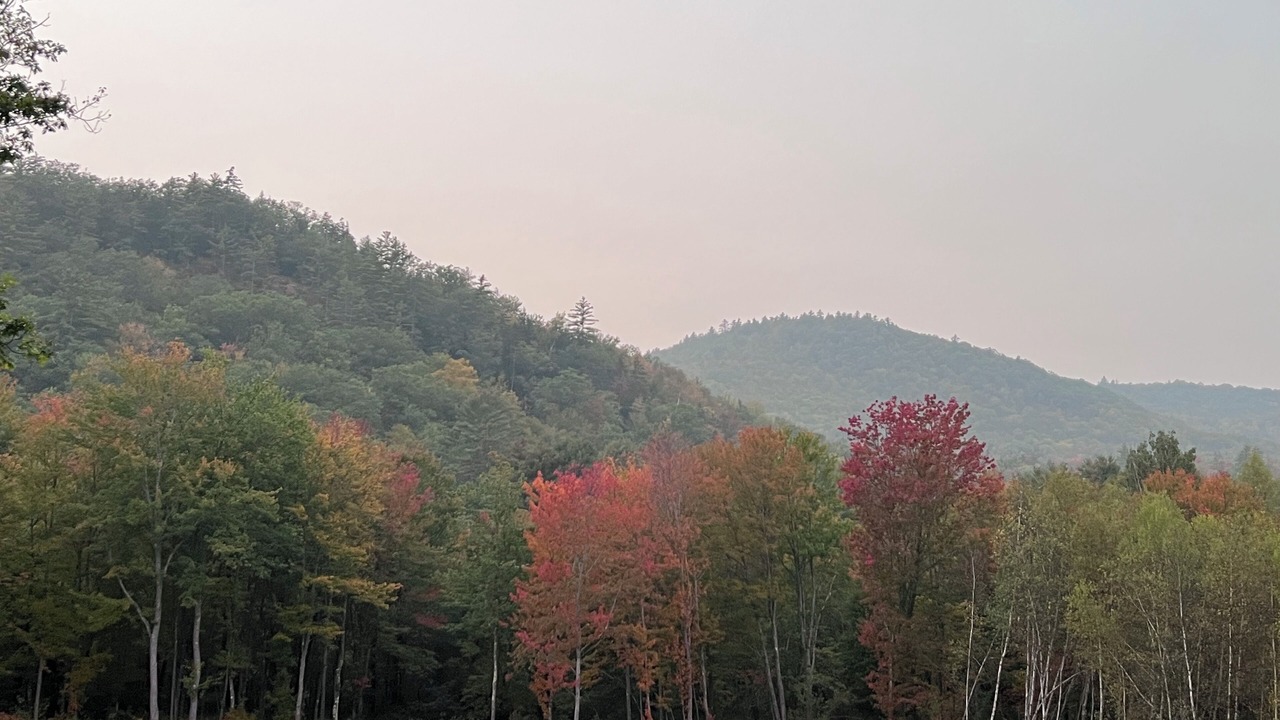 Photo of Others in Milton