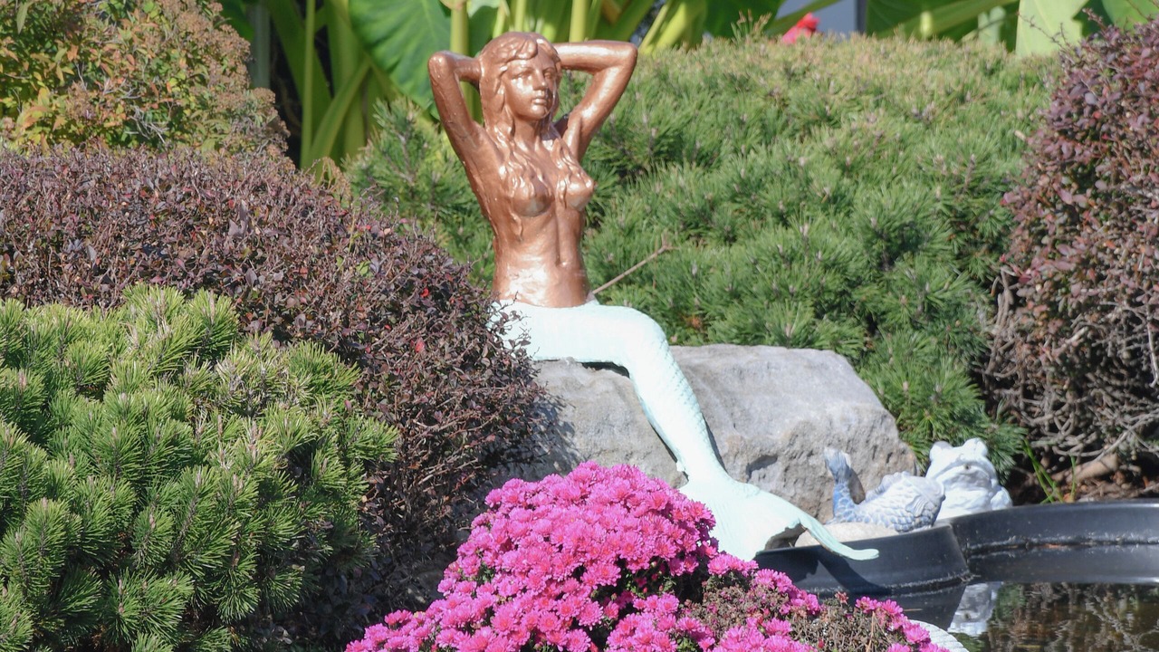 Photo of Outdoor in Rock Hall