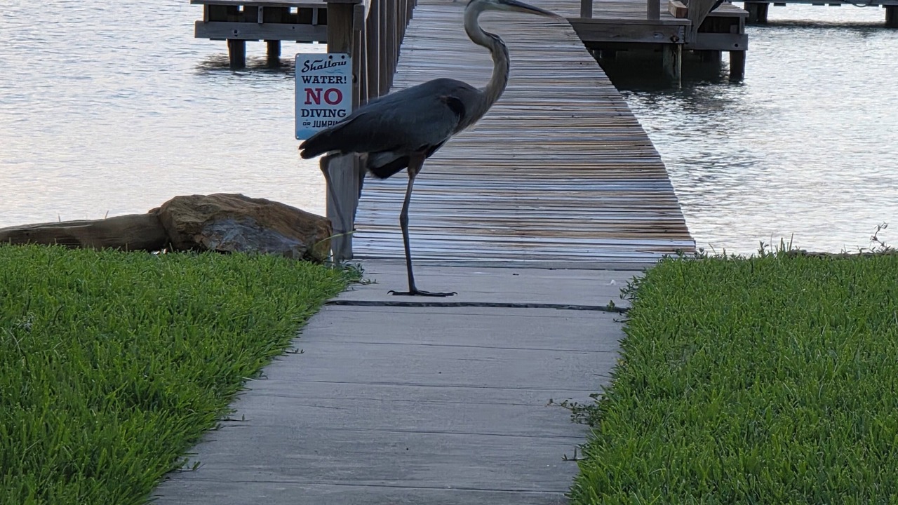Photo of Others in Rockport