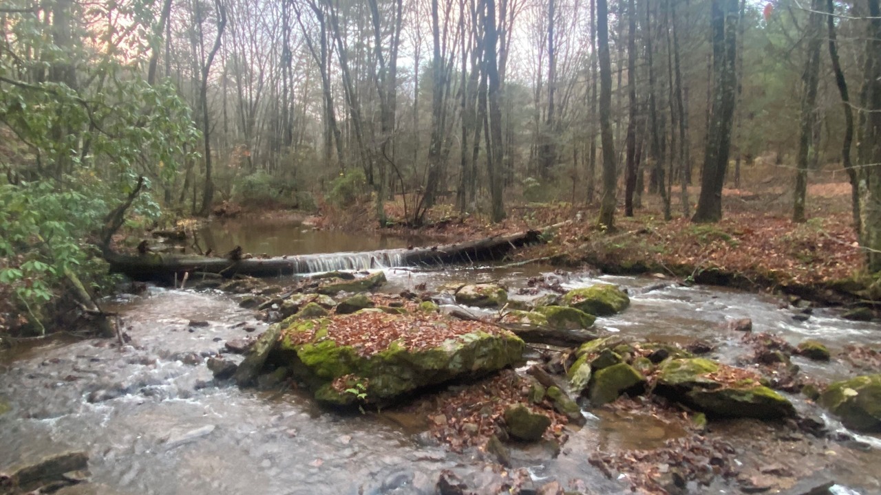 Photo of Outdoor in Montebello