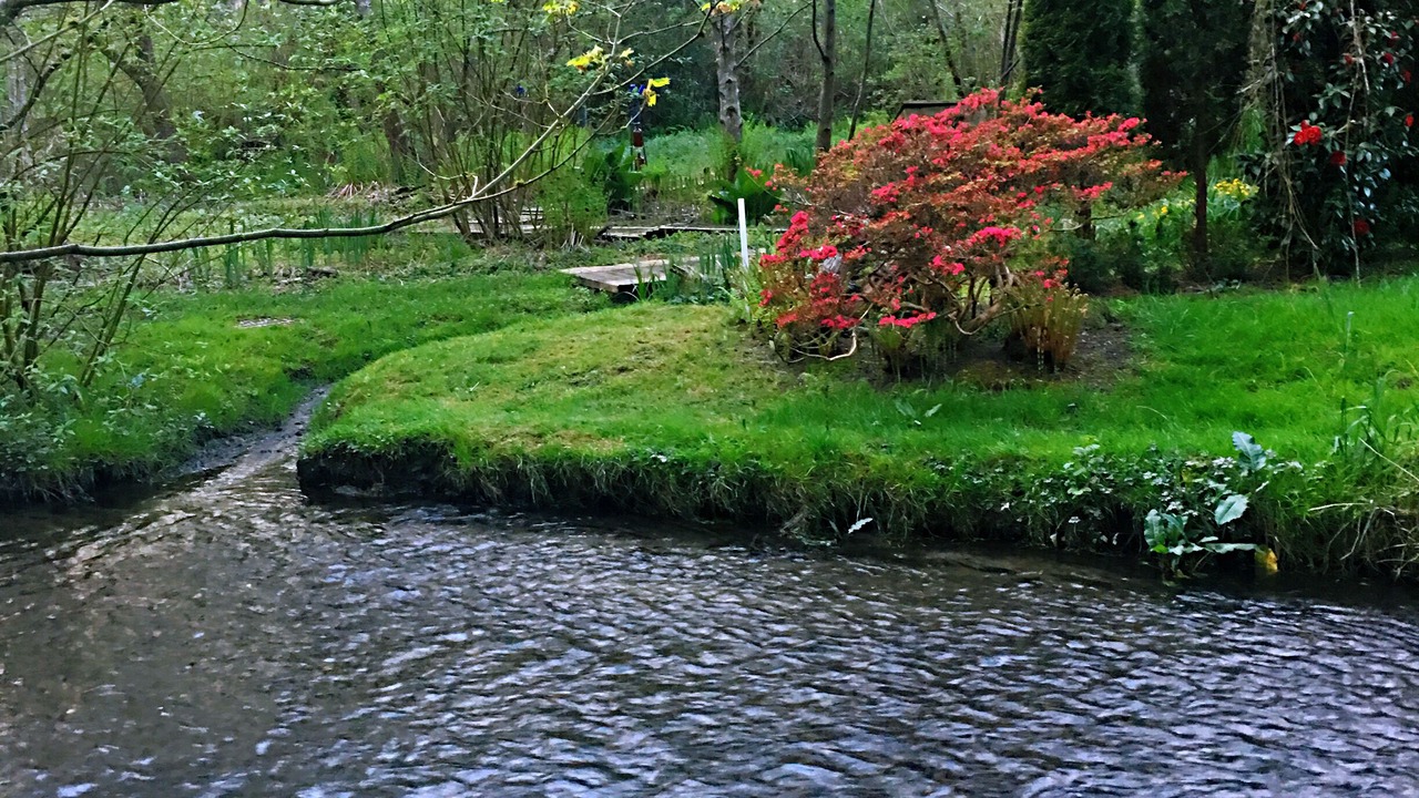 Photo of Outdoor in Lake Forest Park