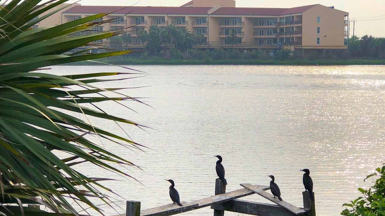 Photo of Others in Galveston