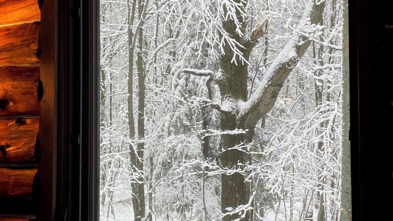 Photo of Bedroom in Newfield