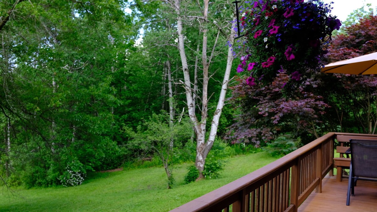 Photo of Outdoor in Blodgett Mills