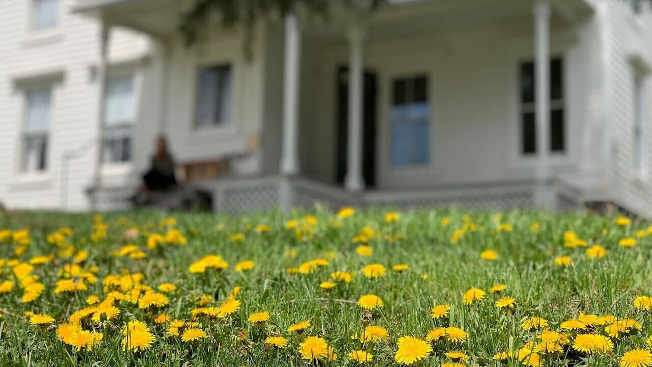 Photo of Outdoor in Bovina Center