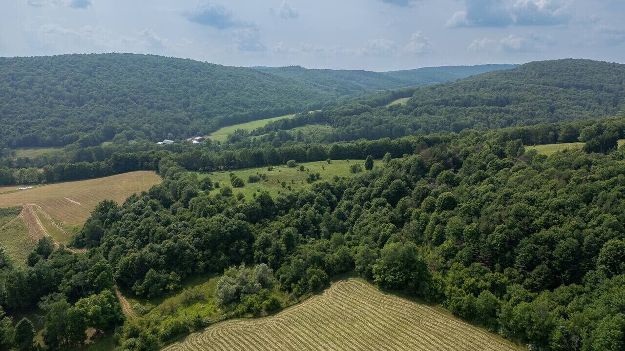 Photo of Outdoor in Bovina Center