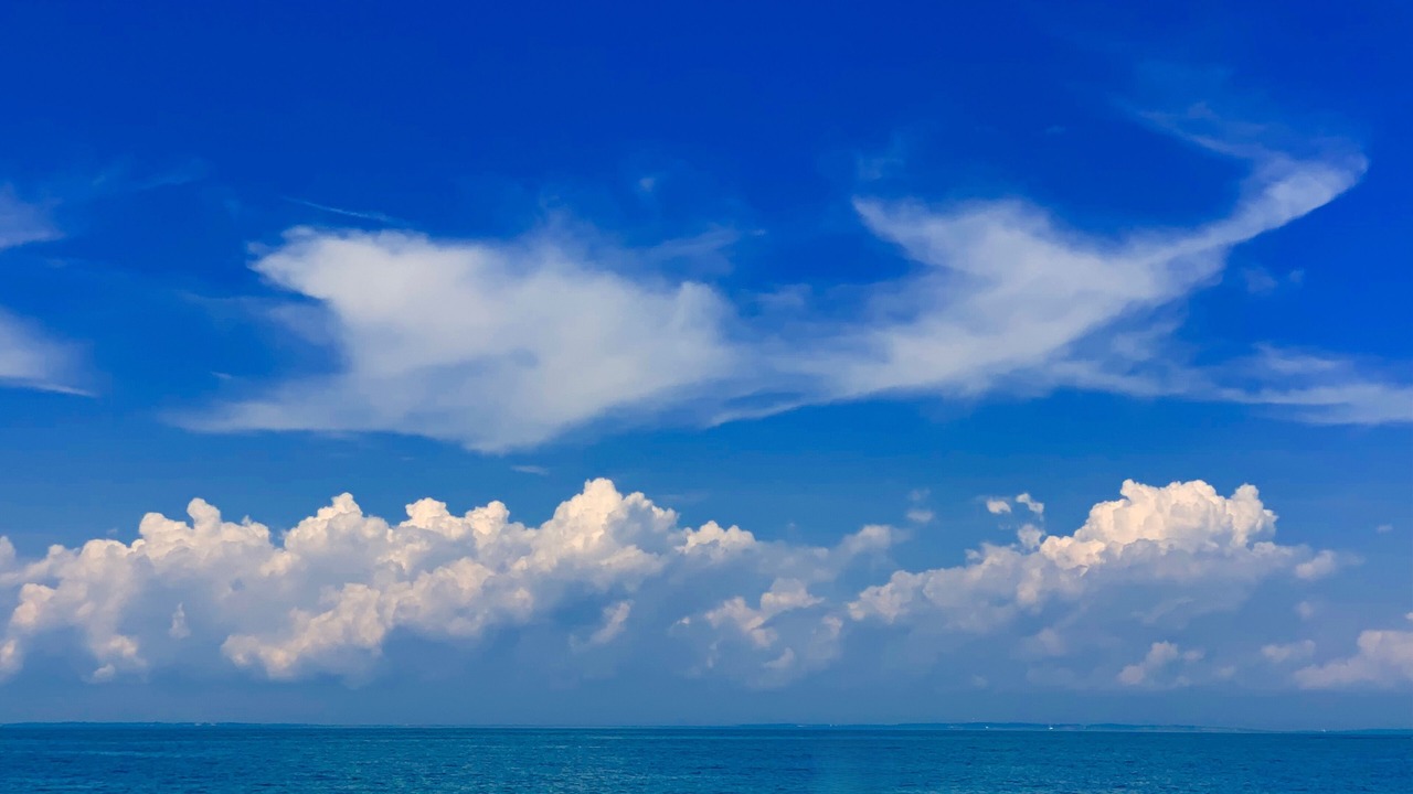 Photo of Others in Clearwater Beach