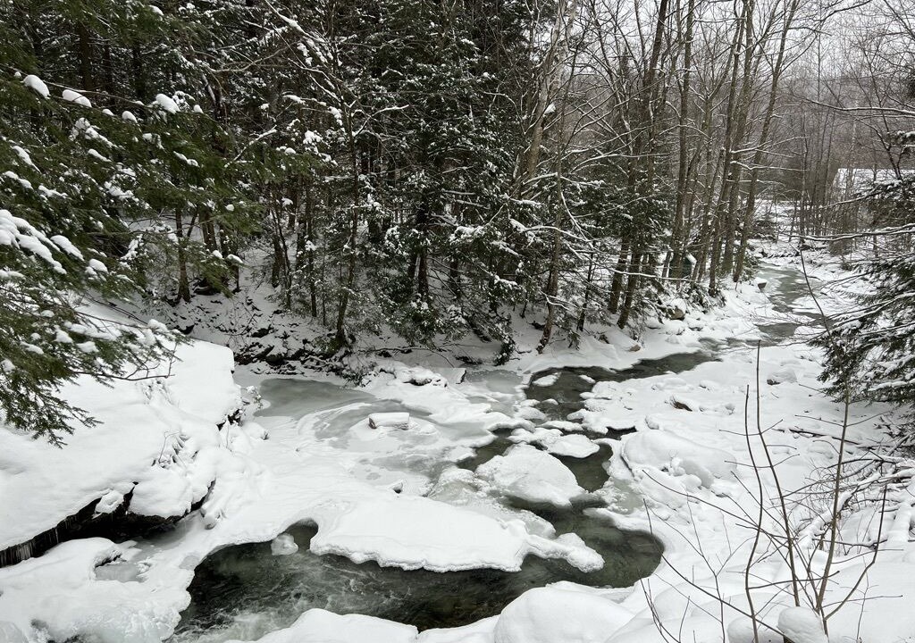 Photo of Outdoor in Montgomery Center