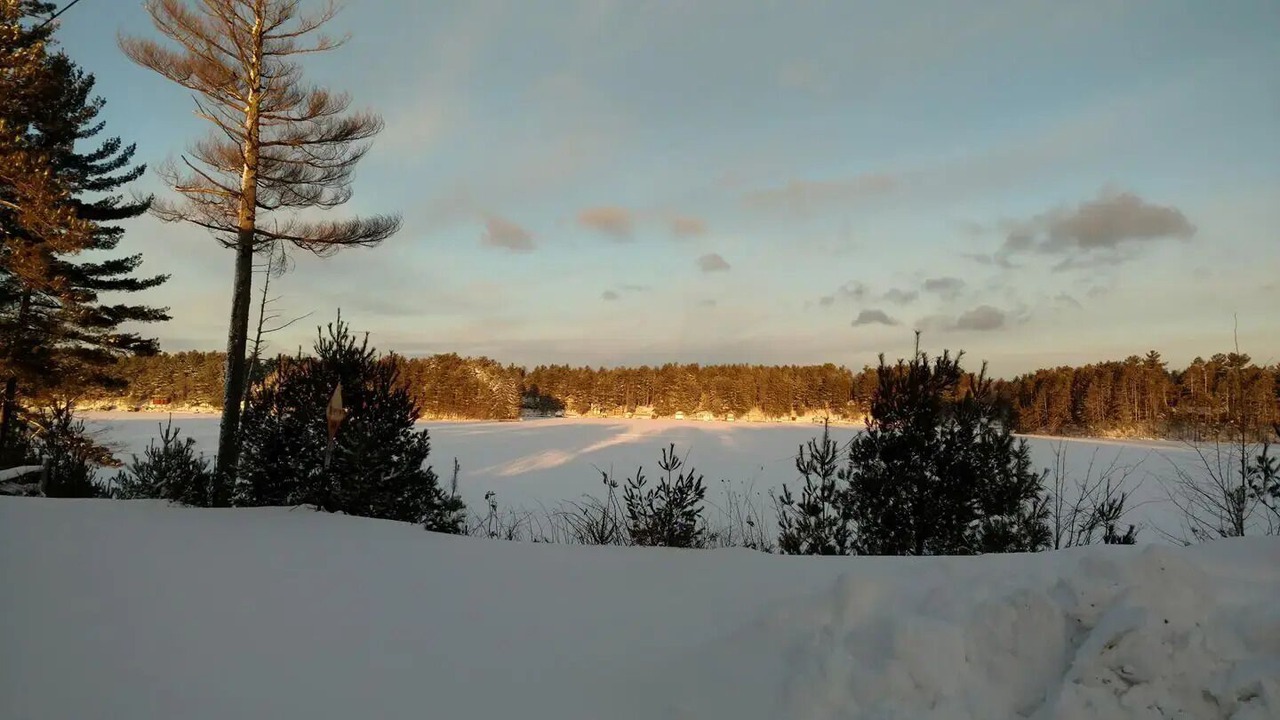 Photo of Outdoor in Brantingham