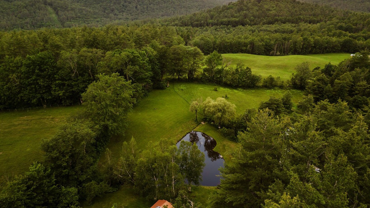 Photo of Outdoor in South Londonderry