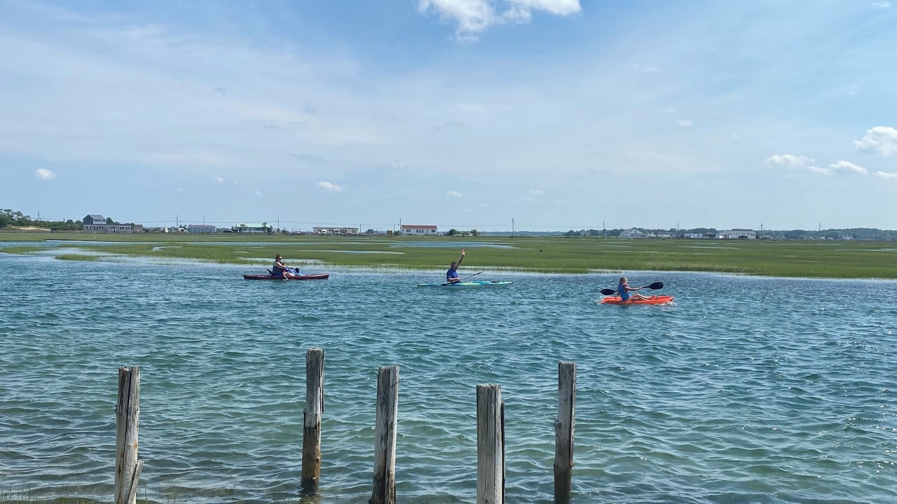 Photo of Others in Seabrook
