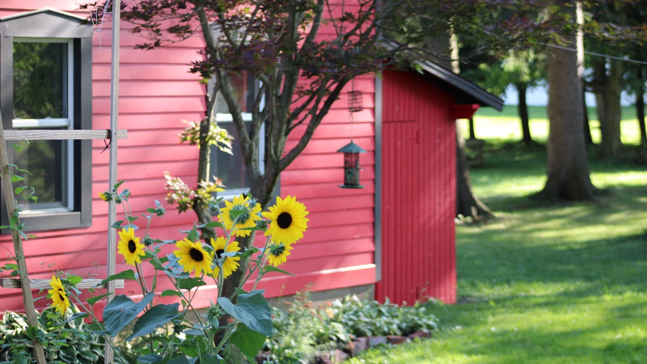 Photo of Outdoor in Earlville