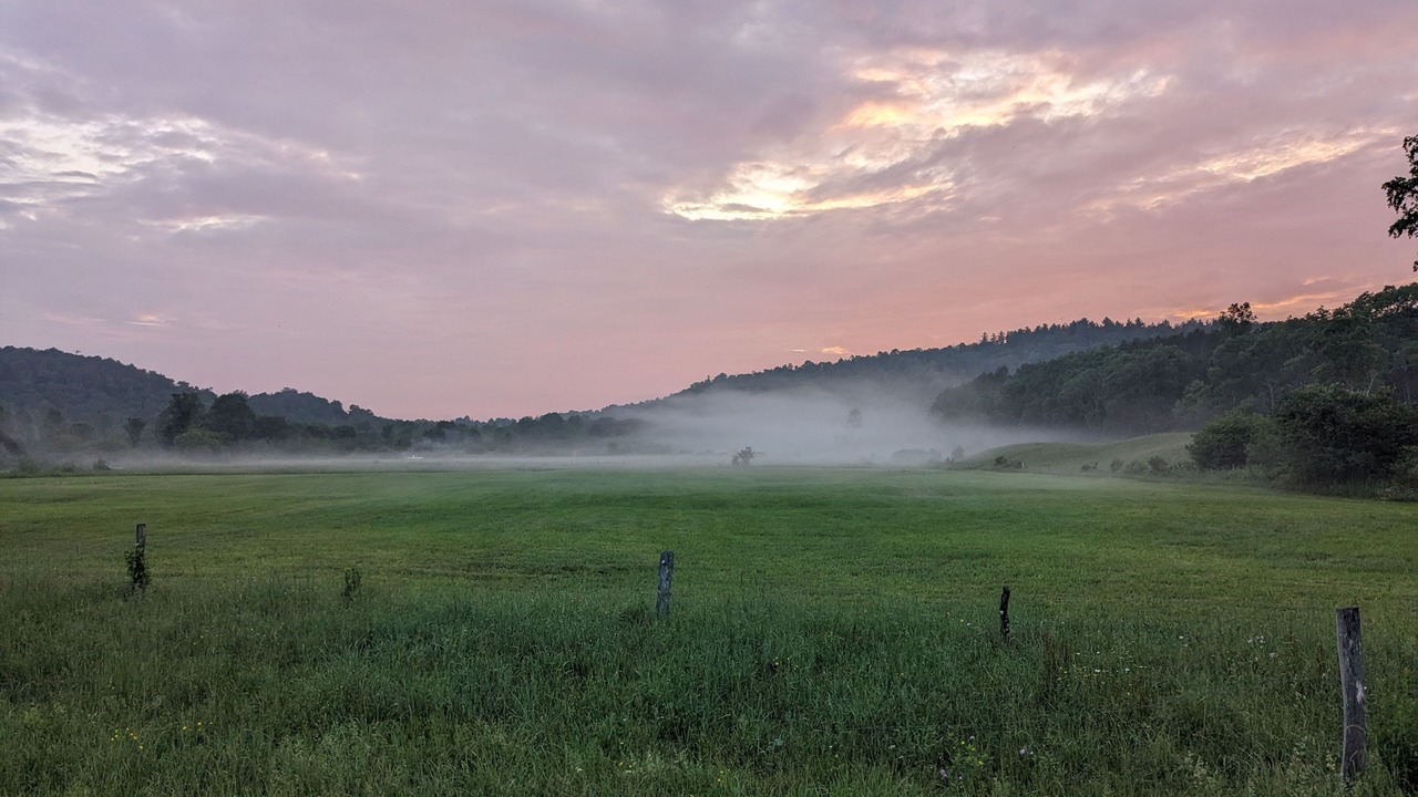 Photo of Outdoor in Osceola