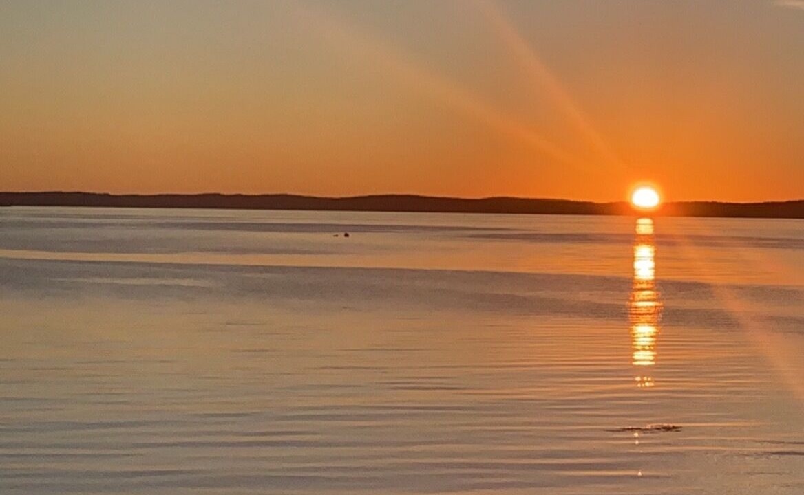 Photo of Others in Bar Harbor