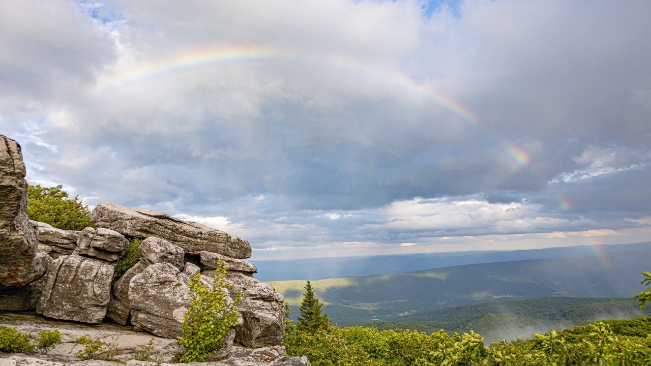 Photo of Others in Allegheny Mountains