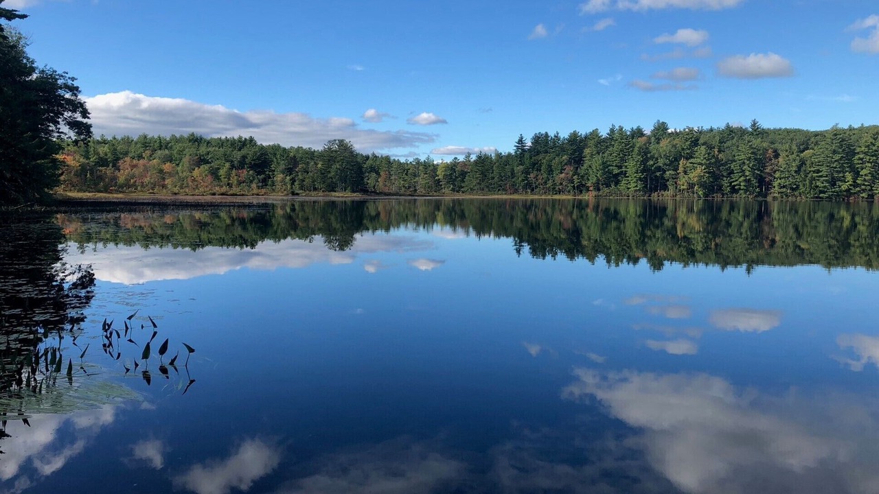 Photo of Outdoor in Pittsfield