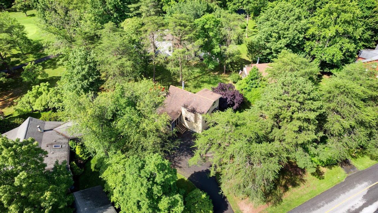 Photo of Others in The Woods