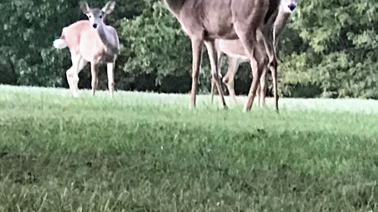 Photo of Outdoor in Martinsburg